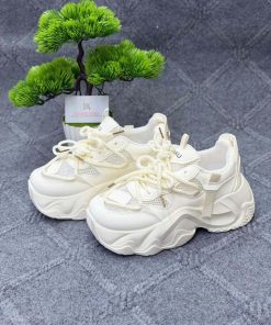 China Premium Quality Ladies shoes