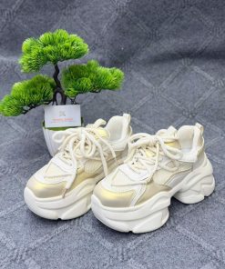 China Premium Quality Ladies shoes