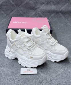China Premium Quality Ladies shoes 4+ hi
